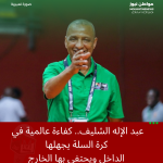 ​أين مكمن الخلل؟ إبعاد الكفاءات الدولية كعبد الإله الشليف يكرس أزمة كرة السلة الوطنية.